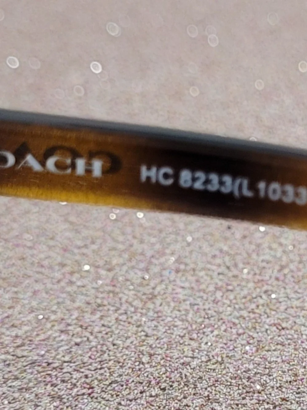 Coach Women's Brown Transparent Frame Sunglasses with Brown Lenses
